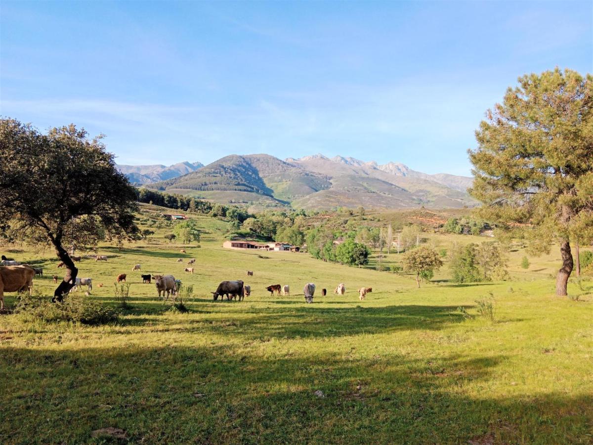 Casa Rural - Complejo El Tejar De Las Canadas Candeleda Eksteriør billede