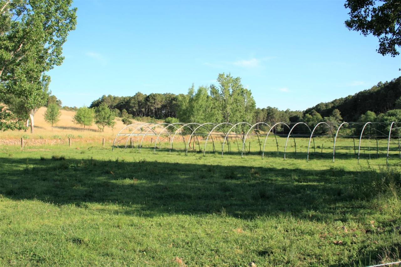 Casa Rural - Complejo El Tejar De Las Canadas Candeleda Eksteriør billede